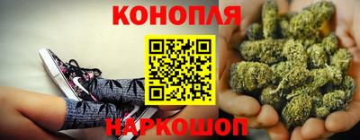 гидропоника Балашиха