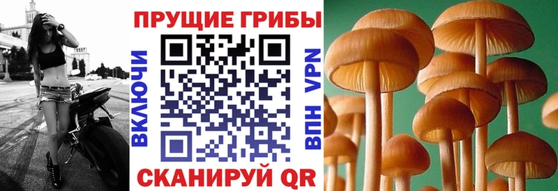 Галлюциногенные грибы ЛСД  как найти наркотики  Новоалтайск 